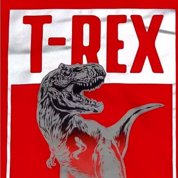 NEW Wonder Nation 2 Piece Dinosaur Long Sleeve Set PJs Pajamas Fleece Pants 12 - Picture 3 of 3